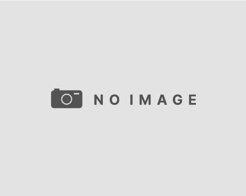 小規模宅地等の特例で相続税を最大80%軽減｜条件や注意点を徹底解説